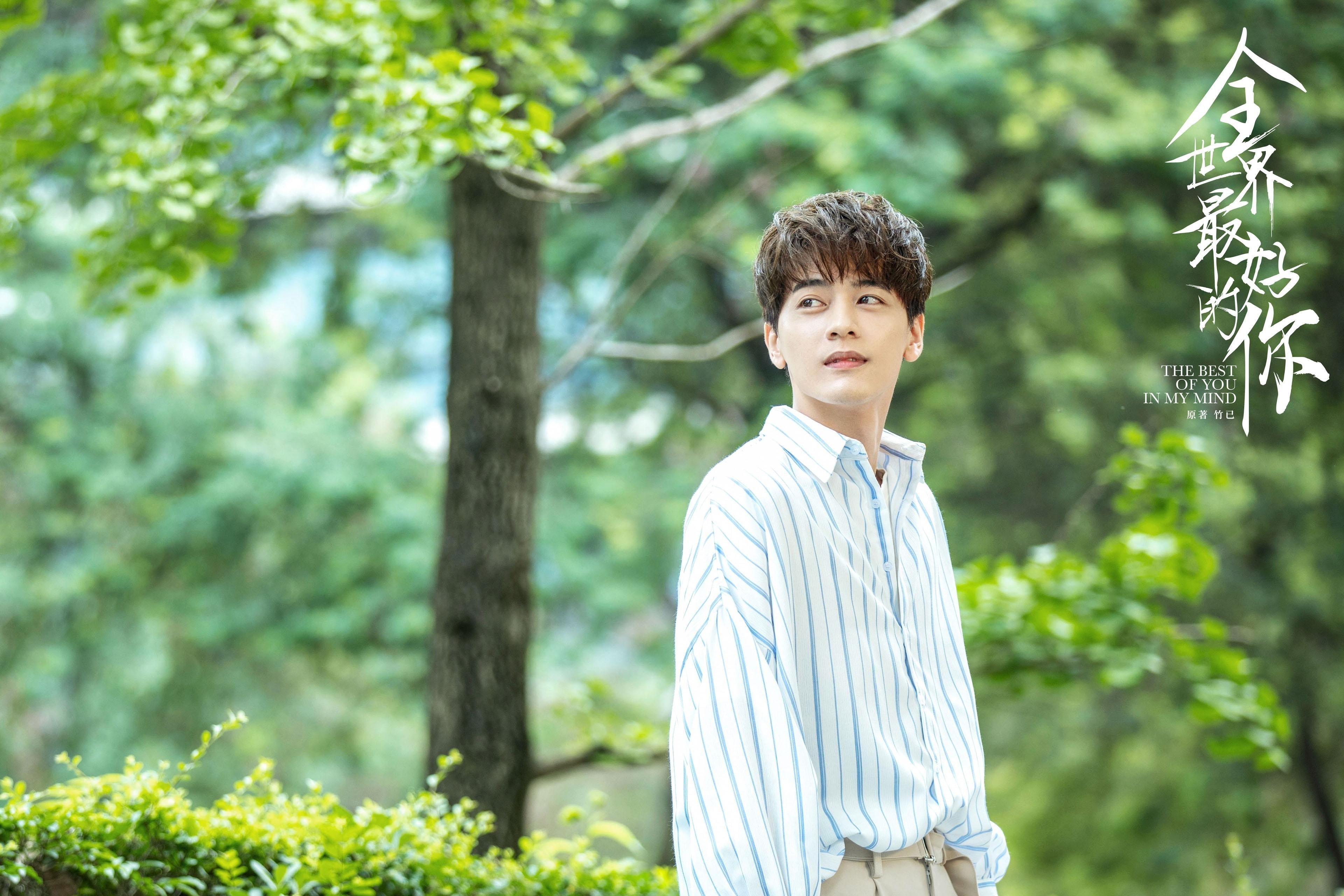 年度最佳阵容：WRC历史上的最强车队与车手，wrc历届冠军车队