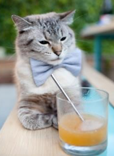 【战术大比拼】马克·塞尔比的防守艺术究竟为何如此坚不可摧？