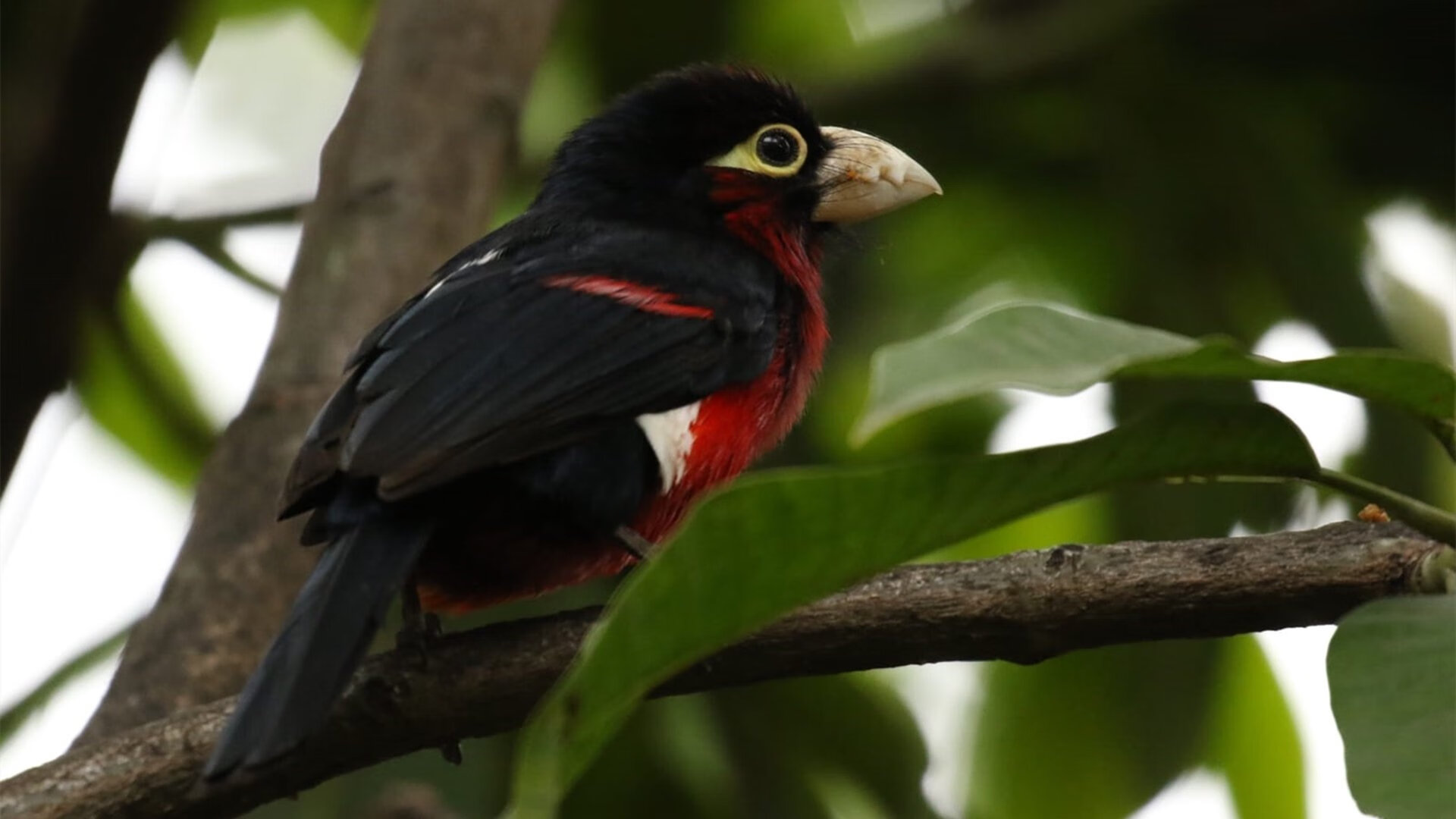 受众热议:最受喜爱的车手TOP10,十大最受欢迎的车