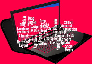 开云集团中国官网-CBA开展球员社交媒体管理课程提高职业素养，运动员社交媒体